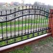 Wiech-Spaw Metaloplastyka