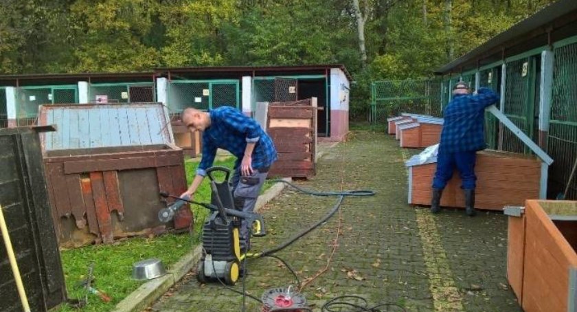 Zdjęcie: Schronisko przy ul. Ceglanej w Legnicy. Fot. LPGK