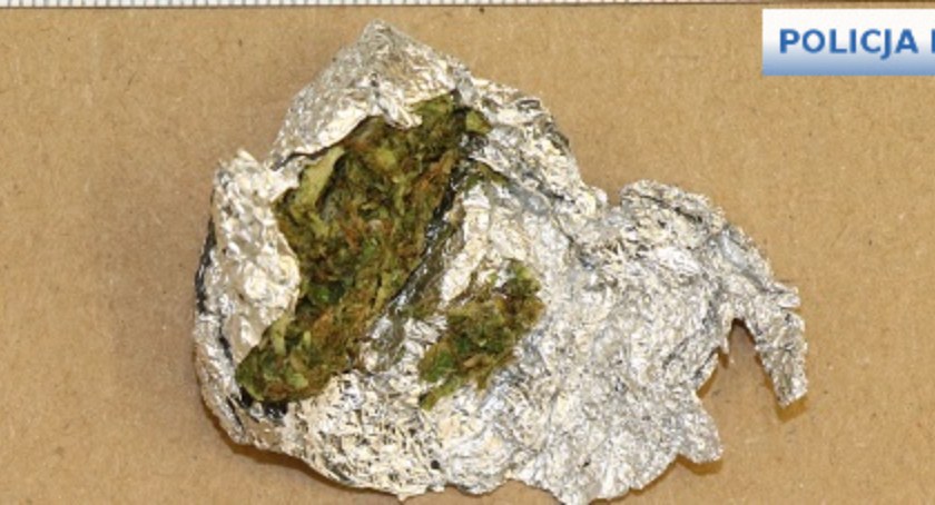 Zdjęcie: Marihuana zabezpieczona przez policję (fot. policja)