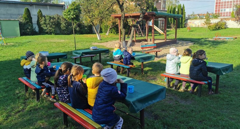 Zdjęcie: Zajęcia w ogrodzie w Miejskim Przedszkolu nr 8 w Legnicy (źródło: Zrzutka.pl).