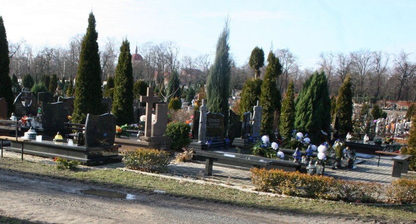 Zdjęcie: Cmentarz komunalny przy ul. Wrocławskiej w Legnicy (fot. Piotr Kanikowski)