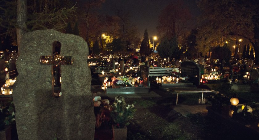 Zdjęcie: Legnicki cmentarz Fot: Aga Jackiewicz