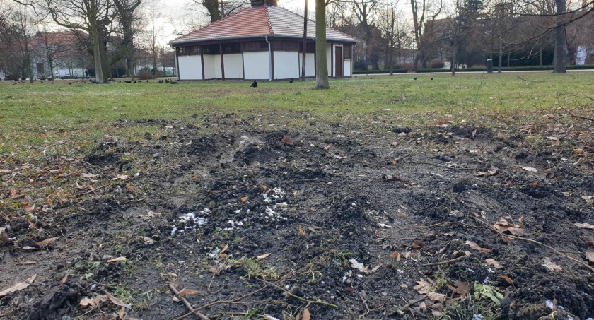 Zdjęcie: Zniszczony przez parkujące samochody trawnik w parku Miejskim w Legnicy. Fot. Andrzej Trzeciak.