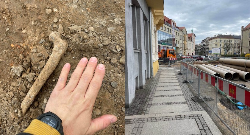 Zdjęcie: Ludzka kość znaleziona wśród wykopów. Zdjęcia nadesłane przez Czytelnika