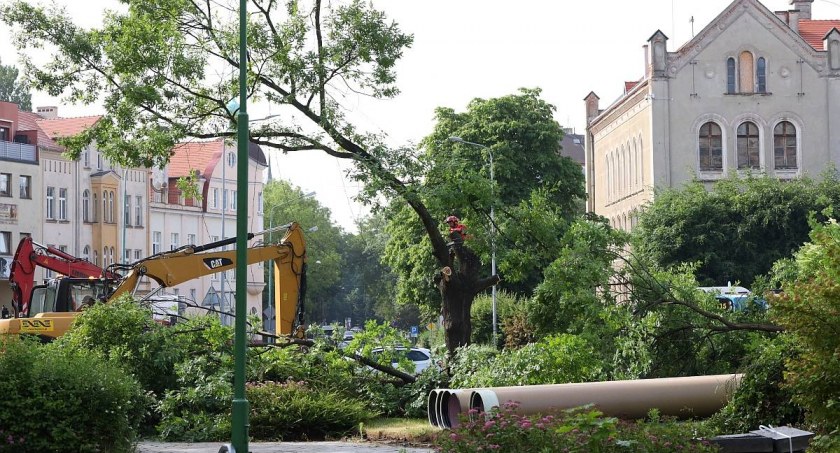 Zdjęcie: Czerwiec 2022 r. Betonowanie placu Słowiańskiego zaczęło się od wycinki drzew. Fot. Andrzej Trzeciak.