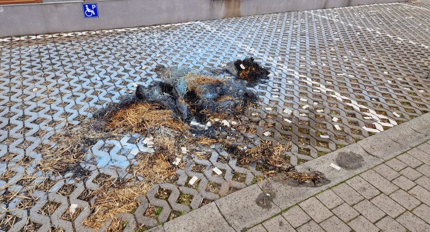 Zdjęcie: Spalona kukła inspektora WIOŚ przed siedzibą Wojewódzkiego Inspektoratu Ochrony Środowiska we Wrocławiu. Fot. WIOŚ