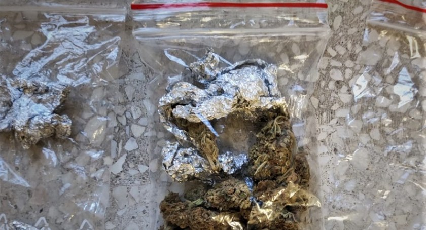 Zdjęcie: marihuana Fot.:KMP