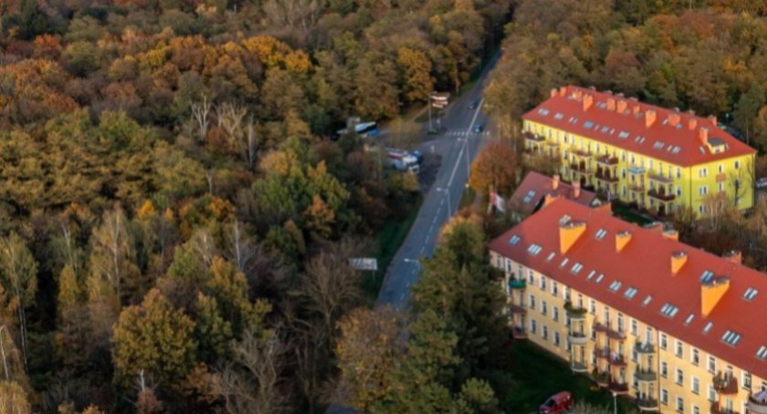 Zdjęcie: Lasek Złotoryjski z ul. Złotoryjską w Legnicy. fot. Urząd Miasta w Legnicy