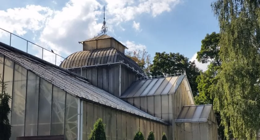 Zdjęcie: Palmiarnia w Legnicy. Fot. Andrzej Trzeciak