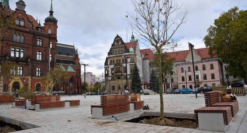 Zdjęcie: Sadzenie drzew na pl. Słowiańskim w Legnicy. Fot. Aga Jackiewicz