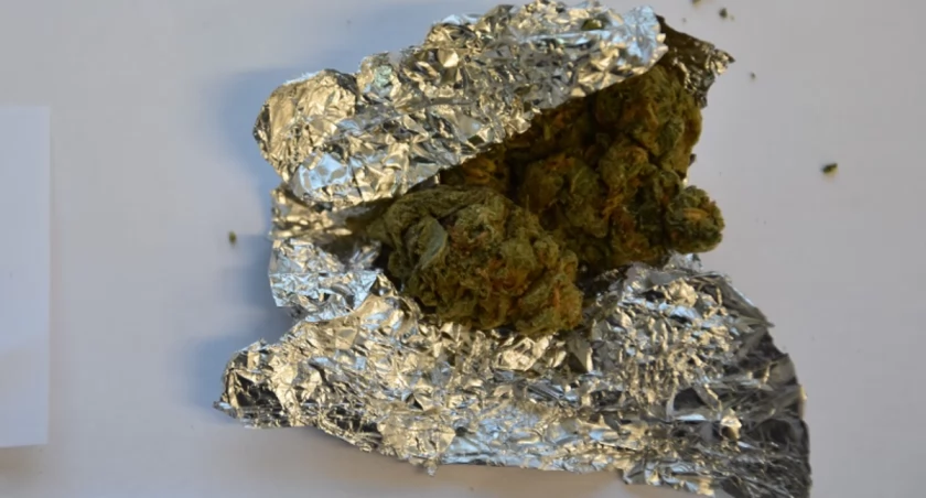 Zdjęcie: marihuana Fot.: KMP