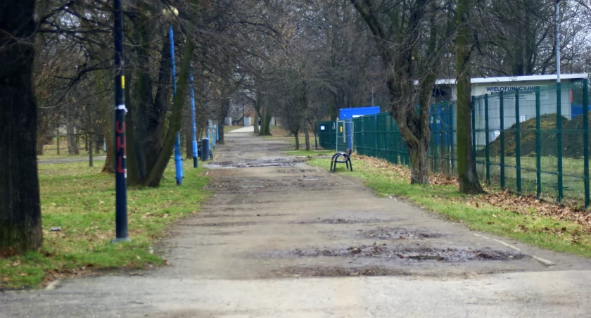 Zdjęcie: Al. Biała w parku Miejskim w Legnicy. Fot. Piotr Kanikowski