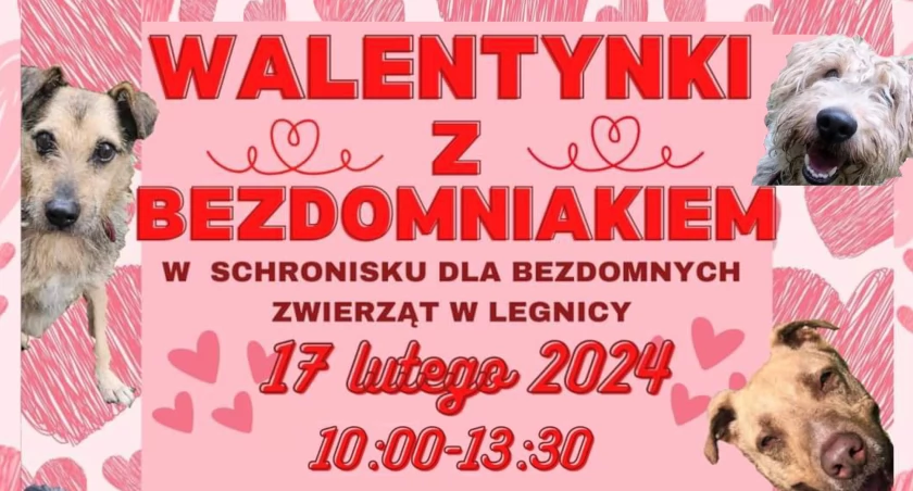 Zdjęcie: plakat wydarzenia Fot.: Schronisko dla Bezdomnych Zwierząt w Legnicy