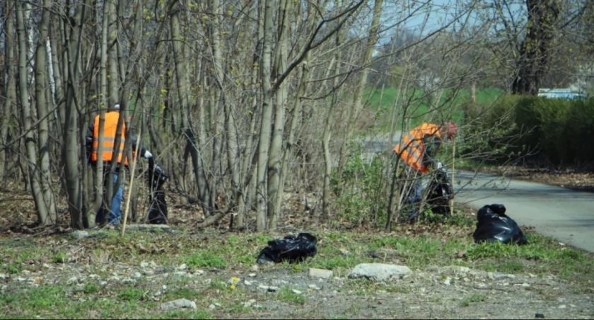 Zdjęcie: sprzątanie Legnicy Fot.: UM Legnica