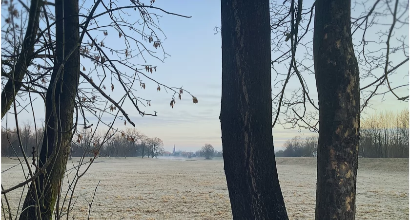Zdjęcie: polana w legnickim parku o poranku Fot.: Aga Jackiewicz