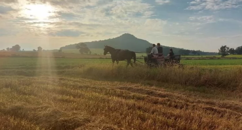 Zdjęcie: Ostrzyca, jeden z wygasłych wulkanów na Pogórzu Kaczawskim. Źródło: www.gorykaczawskie.pl