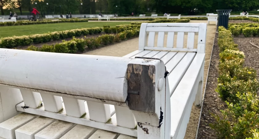 Zdjęcie: niszczejąca ławka w parku legnickim Fot.: Aga Jackiewicz