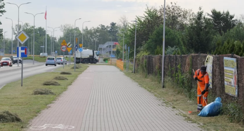 Zdjęcie: al. 100-lecia Odzyskania Niepodległości Fot.: UM Legnica