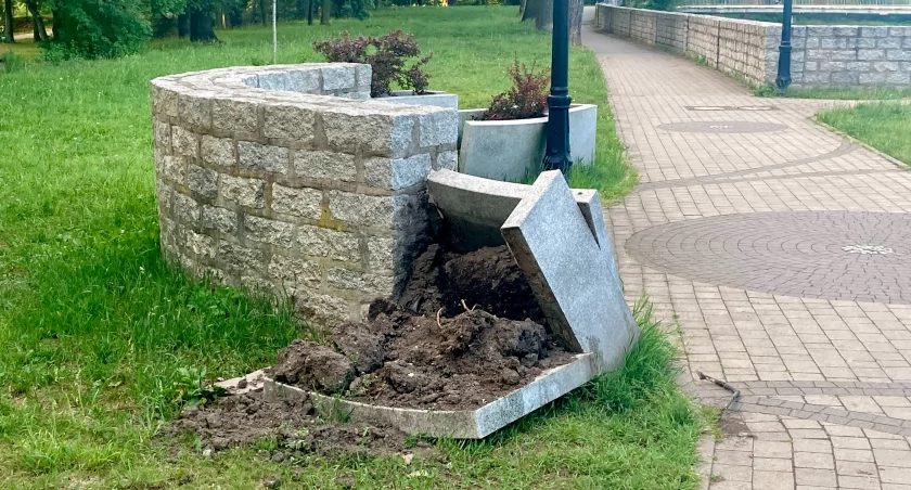 Zdjęcie: uszkodzone donice Fot.: Aga Jackiewicz