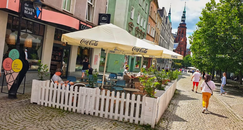 Zdjęcie: ogródek w WHITE BEAR Coffee Fot.: Andrzej Trzeciak/WHITE BEAR Coffee/KOKU Sushi