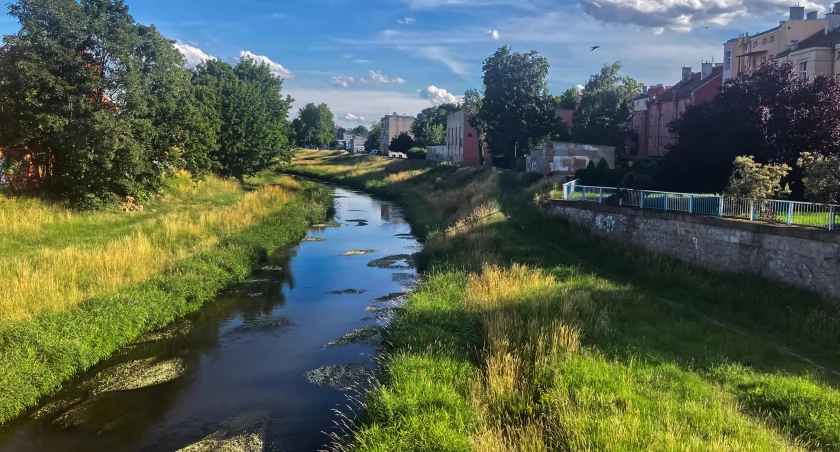 Zdjęcie: widok z mostu na Kaczawę, Legnica Fot.: Aga Jackiewicz