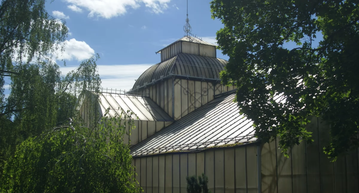 Zdjęcie: Palmiarnia w Legnicy. Fot. Piotr Kanikowski