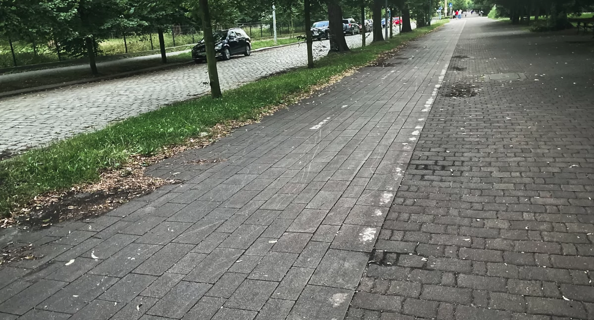 Zdjęcie: droga rowerowa w parku Fot.: Aga Jackiewicz
