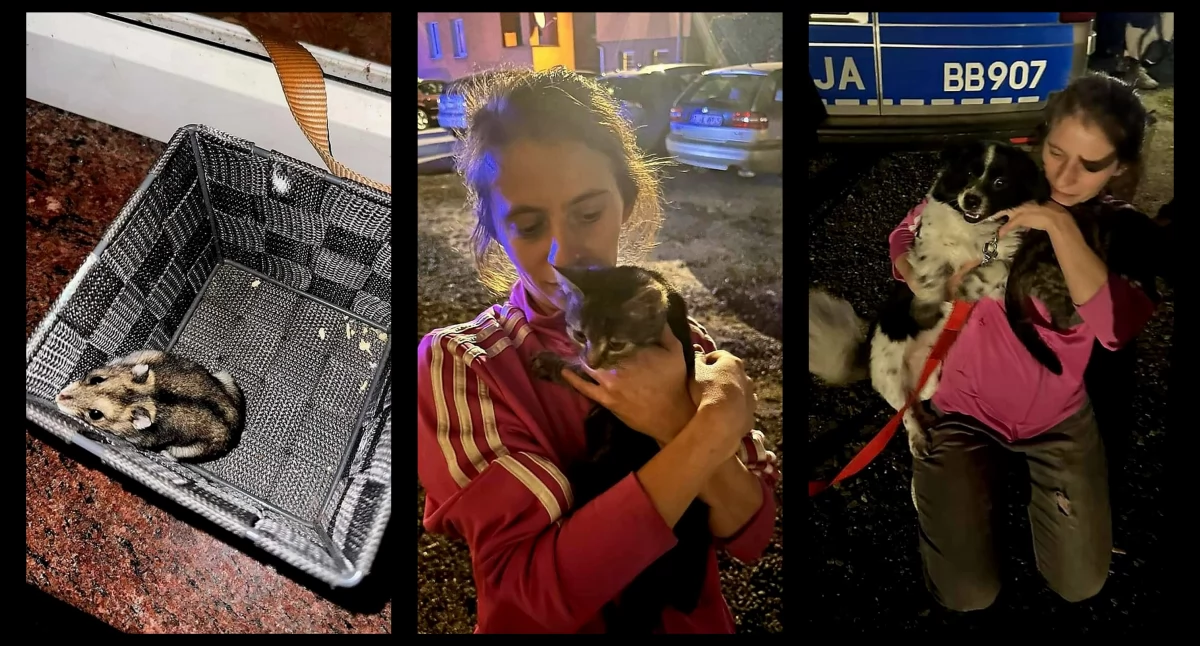 Zdjęcie: Uratowany chomik, kot i pies z wolontariuszkami TOZ-u Jawor. Fot. Komenda Powiatowa Policji w Jaworze