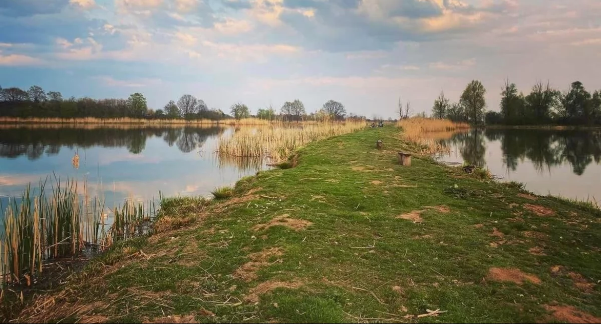 Zdjęcie: Stawy w Bieniowicach. Fot. Facebook.com/ Łowisko Bieniowice