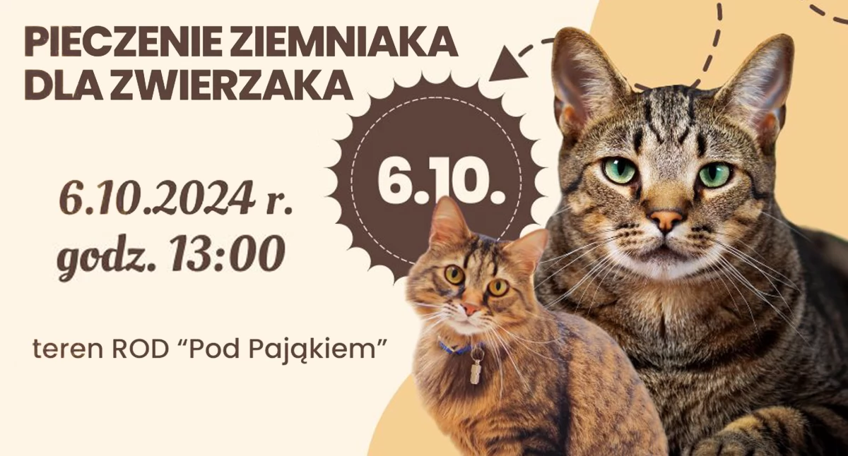 Zdjęcie: plakat wydarzenia Fot.: Futurama