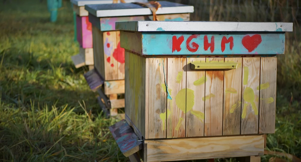 Zdjęcie: pszczelarz i ule KGHM Fot.: KGHM