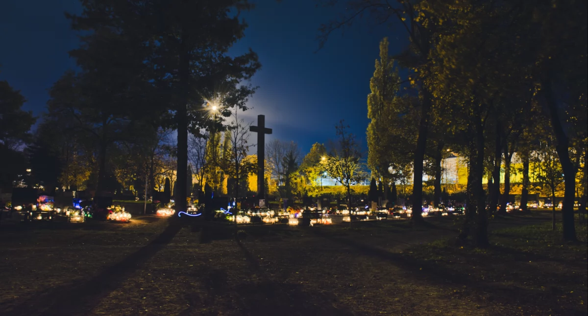 Zdjęcie: Legnica, cmentarz 1 listopada Fot.: Aga Jackiewicz