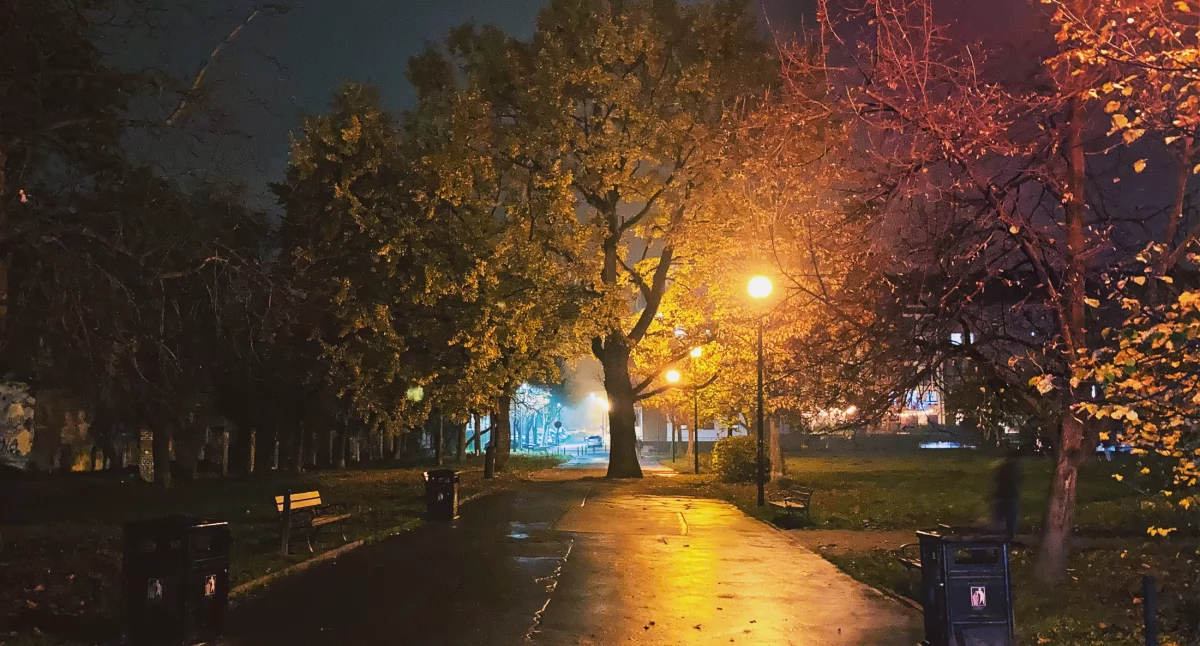 Zdjęcie: Legnica Fot.: Aga Jackiewicz