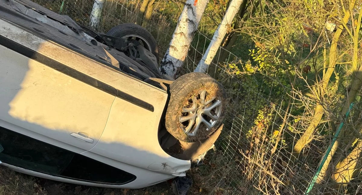 Zdjęcie: wypadek na drodze  Fot.: Zespól Ratownictwa Medycznego w Chojnowie