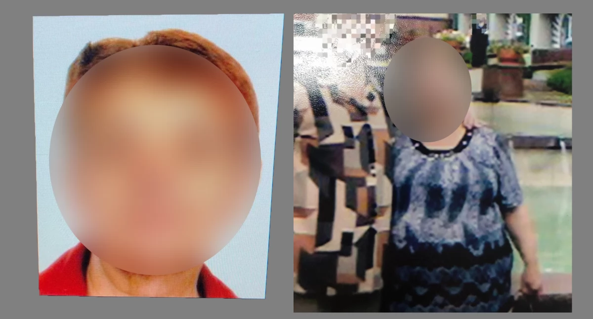 Zdjęcie: zaginiona Fot.: KMP