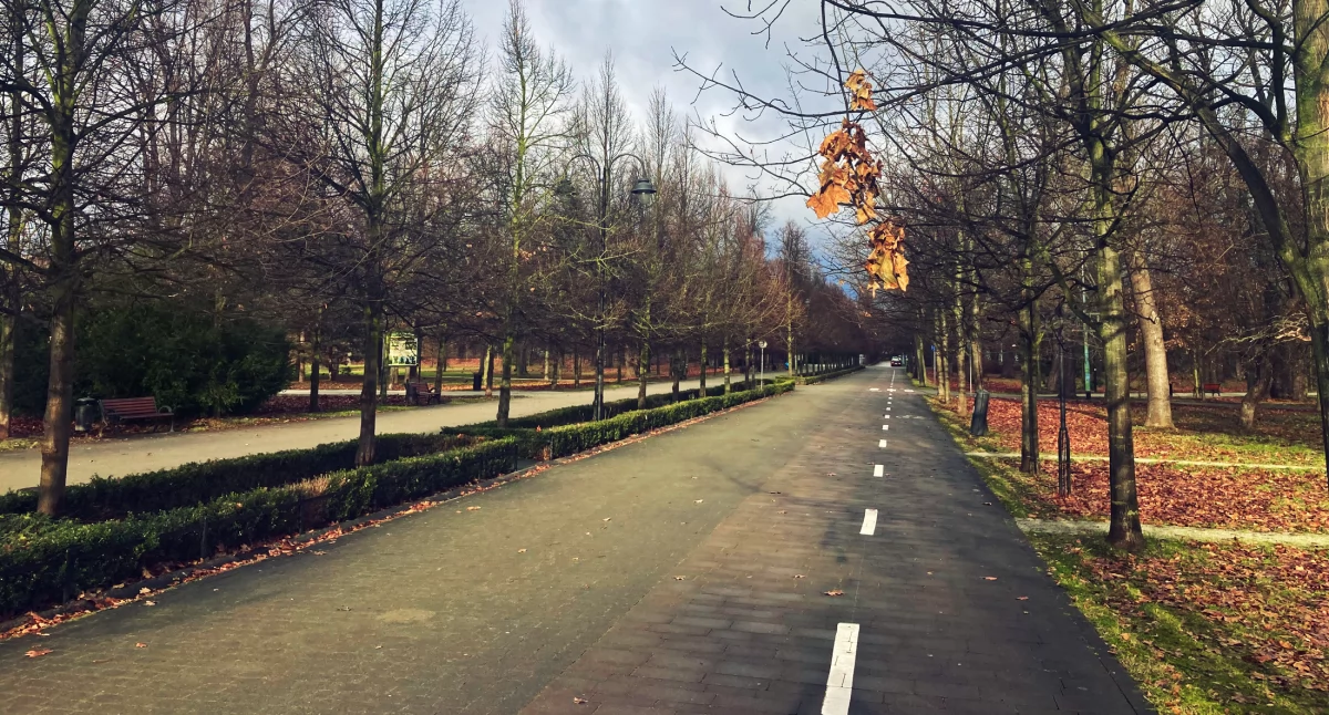 Zdjęcie: Legnica, park Fot.: Aga Jackiewicz