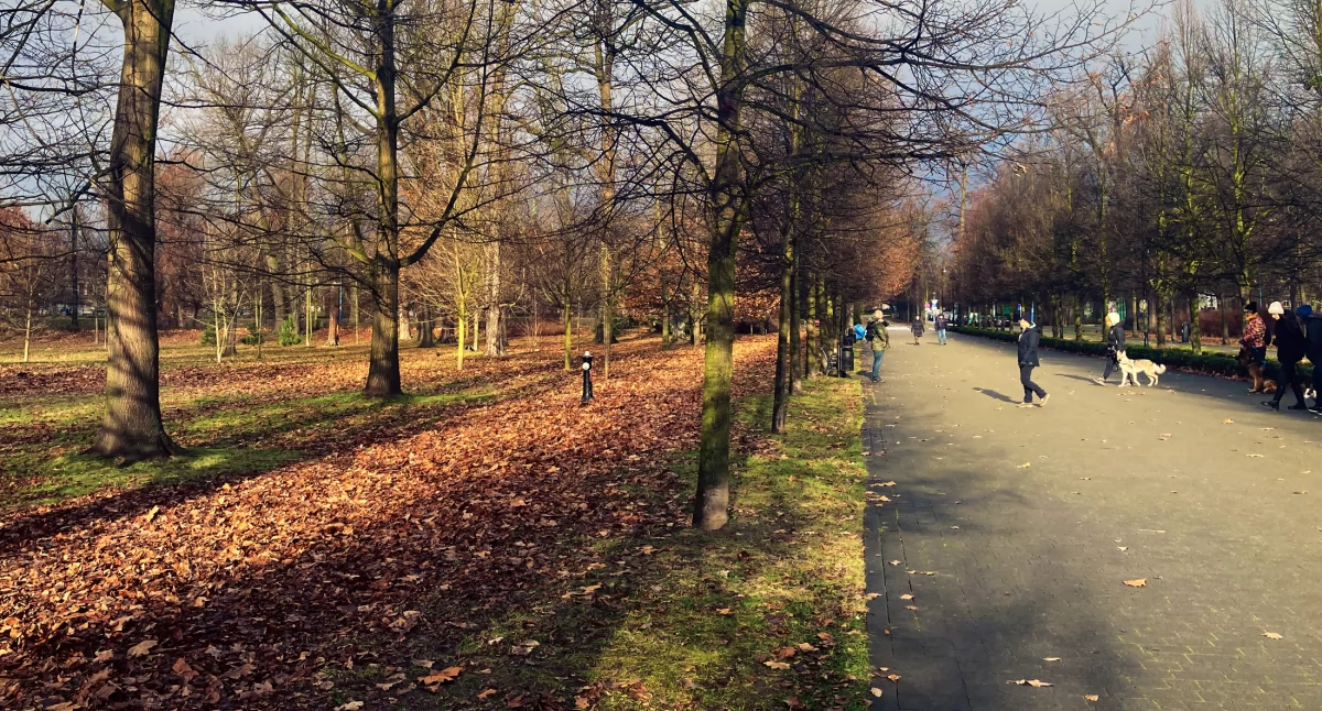 Zdjęcie: Legnica, park Fot.: Aga Jackiewicz