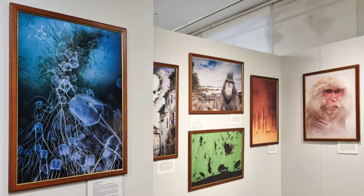 Zdjęcie: wystawa w Muzeum Miedzi Fot.: Muzeum Miedzi 