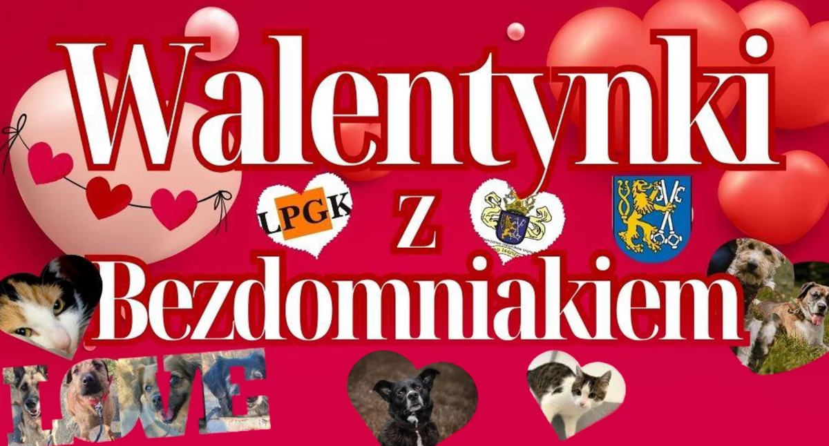 Zdjęcie: plakat wydarzenia Fot.: Schronisko dla Bezdomnych Zwierząt w Legnicy 