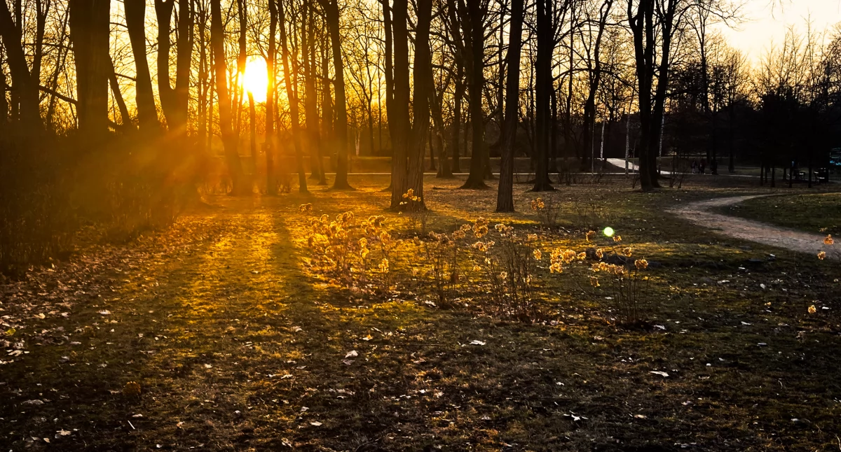 Zdjęcie: Legnica, park Miejski  Fot.: Aga Jackiewicz