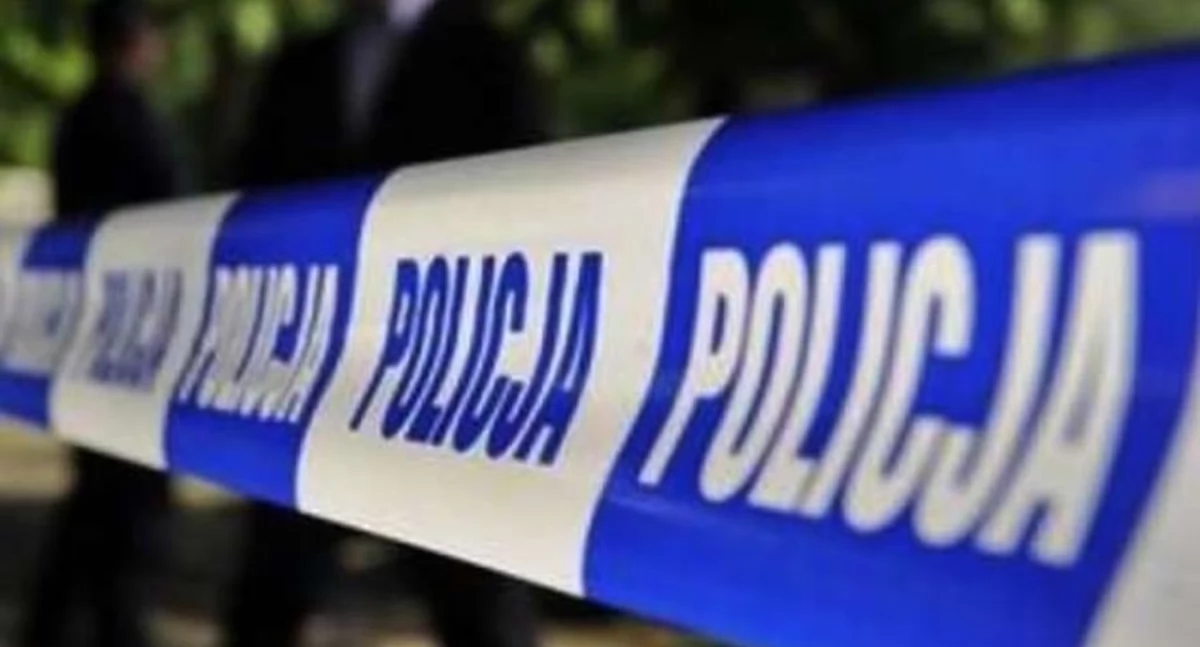 Zdjęcie ilustracyjne. Źródło:policja.pl