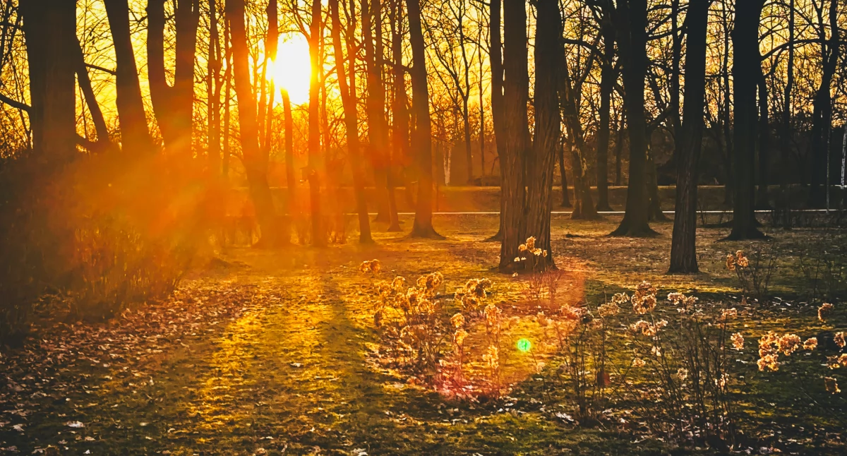 Zdjęcie: Legnica, park  Fot.: Aga Jackiewicz