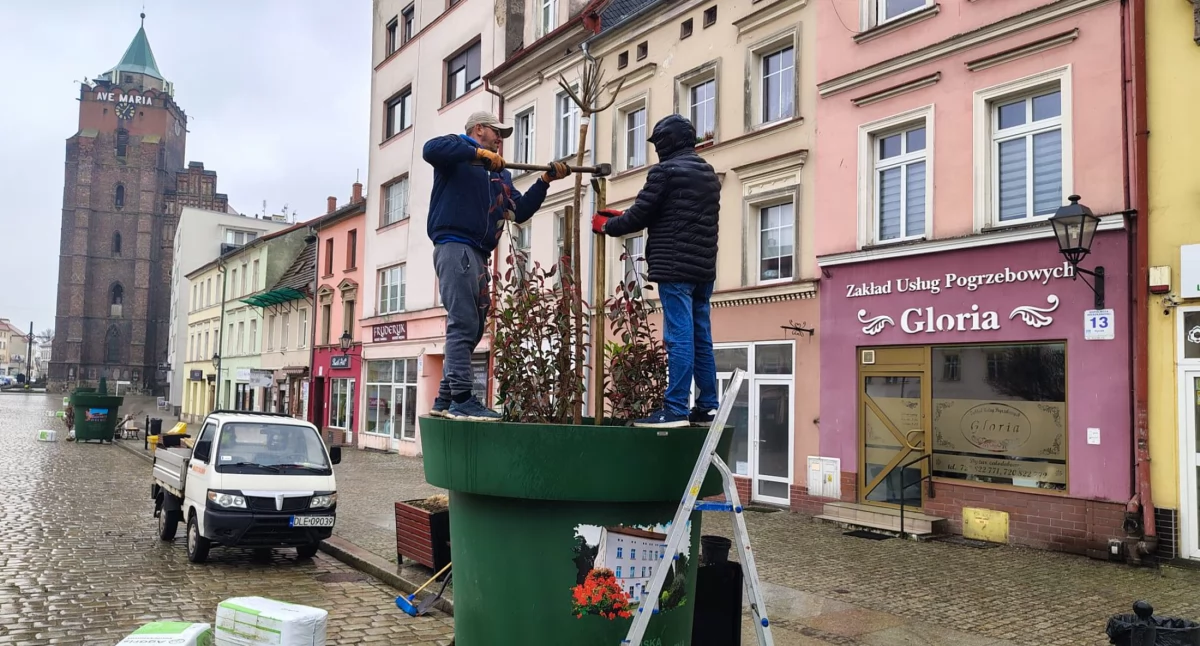 Zdjęcie: Chojnów, ustawianie donic w centrum miasta Fot.: chojnów.eu