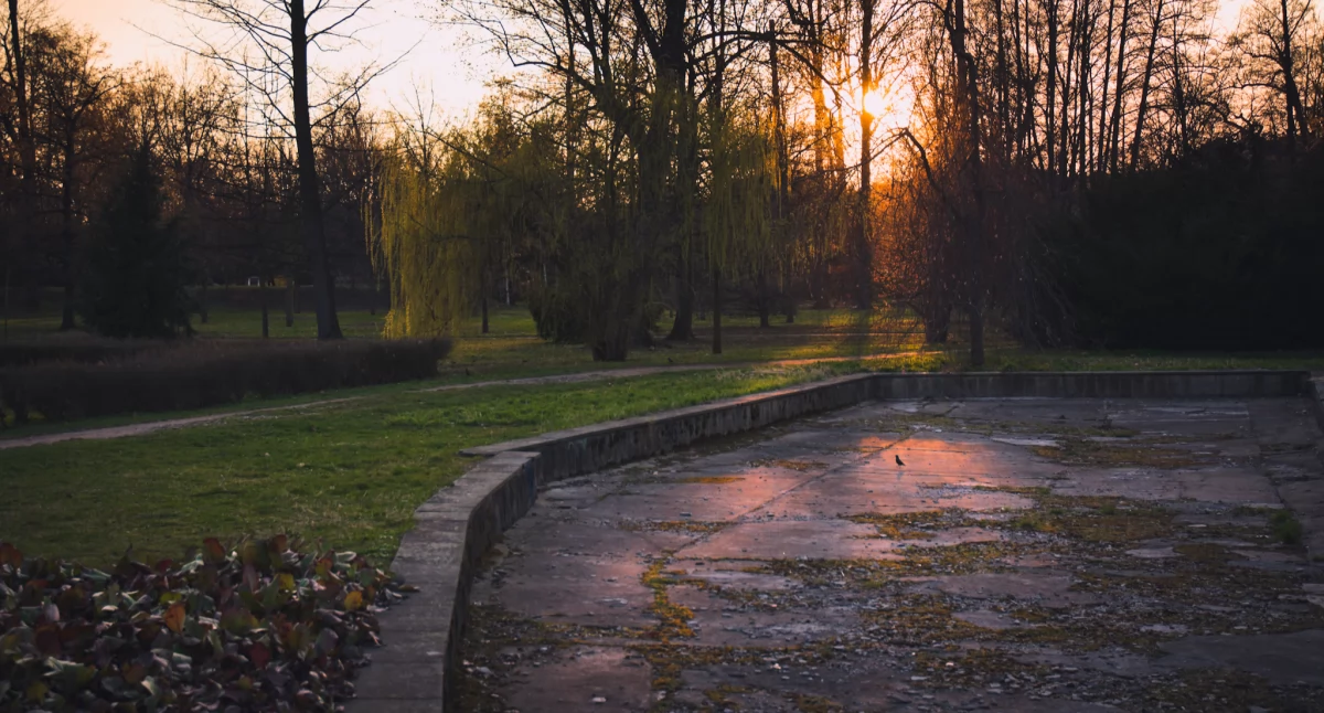 Zdjęcie: Legnica, park Fot.: Aga Jackiewicz