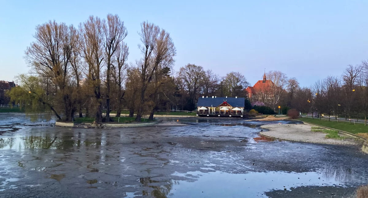 Zdjęcie: Legnica, Kozi Staw  Fot.: Aga Jackiewicz