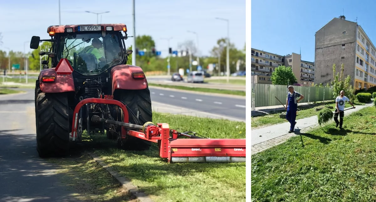 Zdjęcie: Legnica Fot.: fb Jacek Baszczyk - Zastępca Prezydenta Legnicy