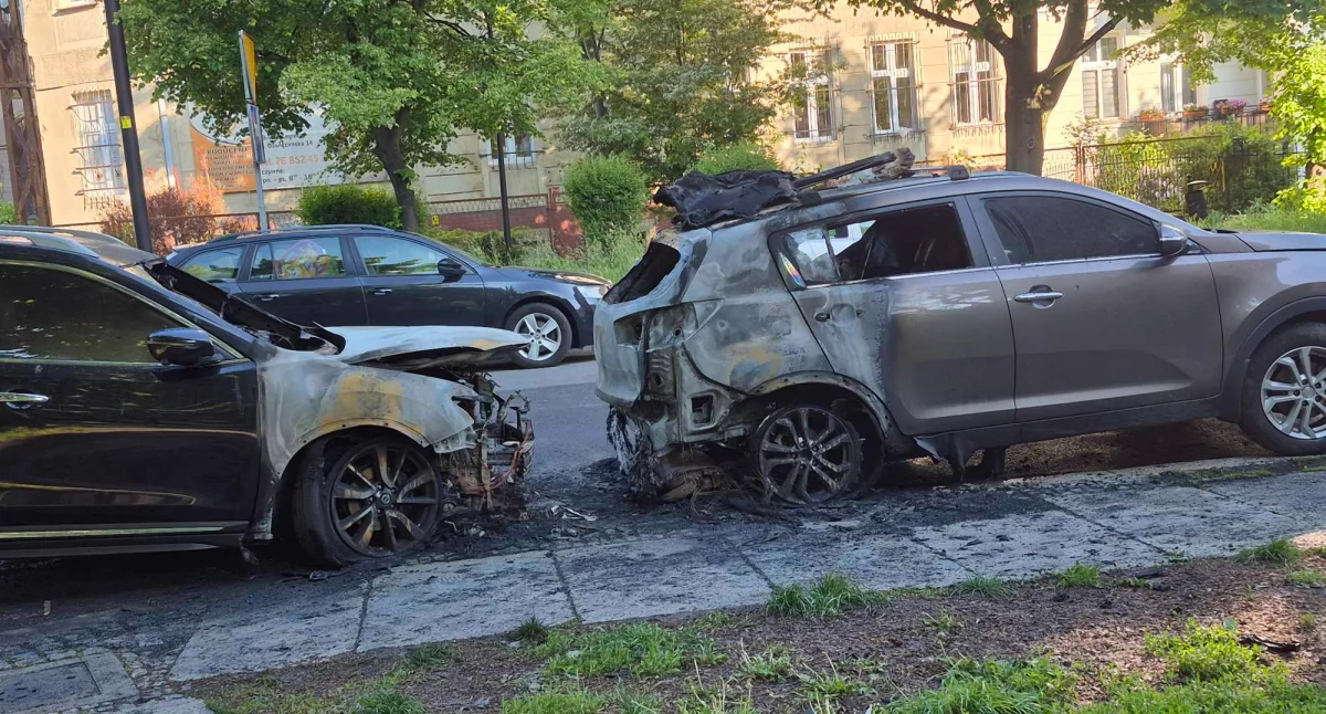 Zdjęcie: Spalone samochody. Fot.: czytelnik