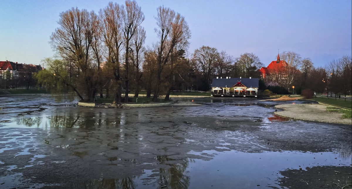 Zdjęcie: Legnicki Kozi Staw tuż po zakończeniu prac. Fot. Aga Jackiewicz