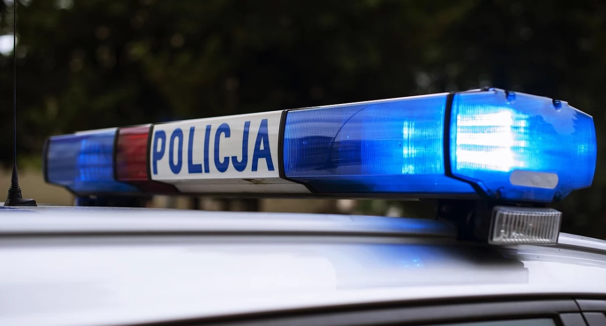 Zdjęcie: Policyjny radiowóz. Fot. Pixabay / AndrzejRembowski