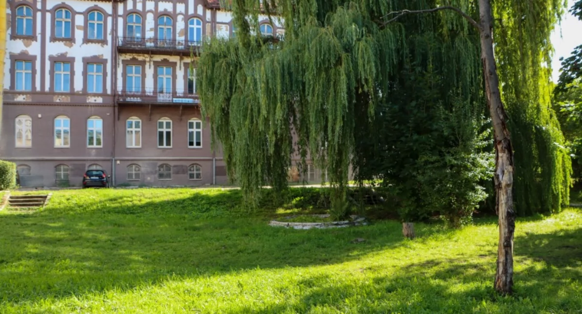 Zdjęcie: teren przy ulicy Witelona 10 w Legnicy Fot.: UM